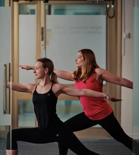 People doing Yoga