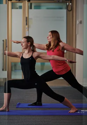 People doing Yoga